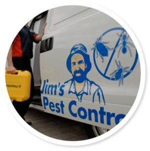 Pest Control Van